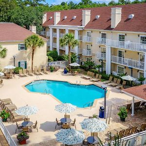 Palmera Inn And Suites